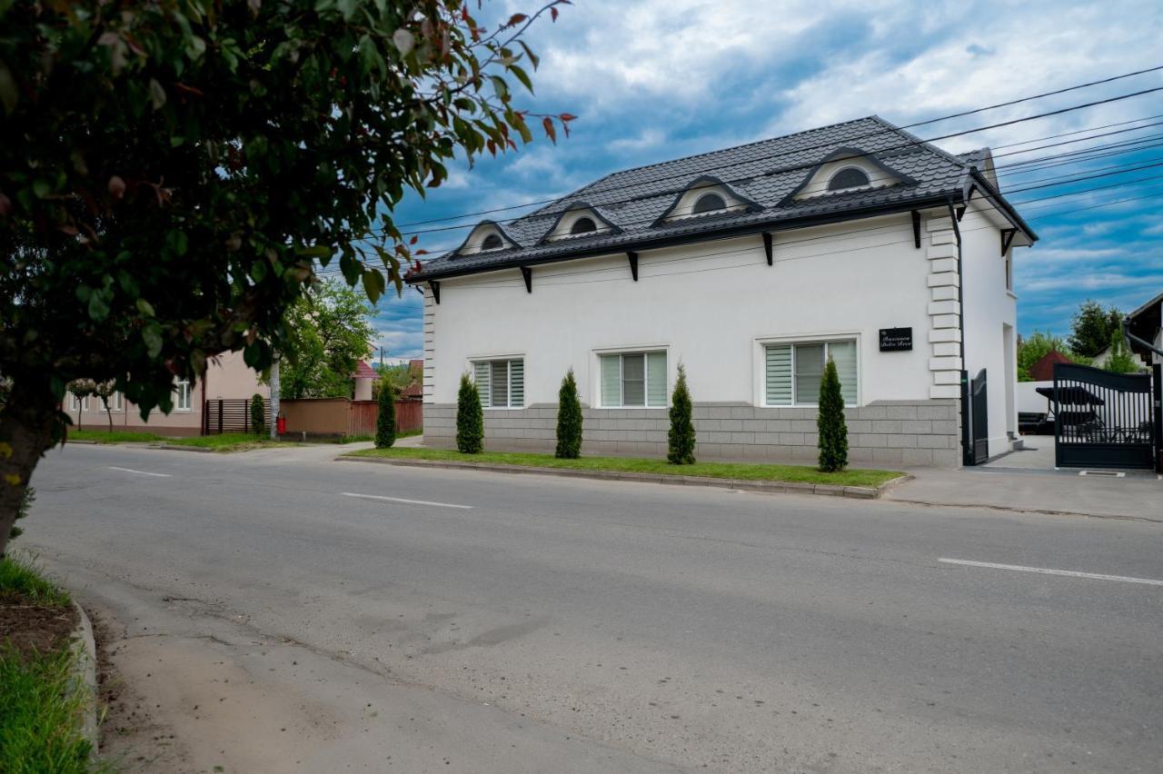 Casa Bolta Rece Hotel Sighetu Marmaţiei Eksteriør billede